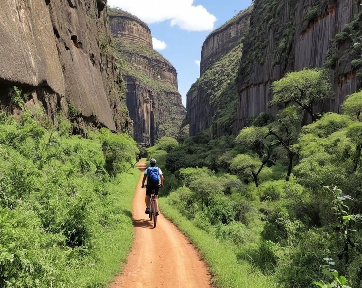 Kenya Safari
